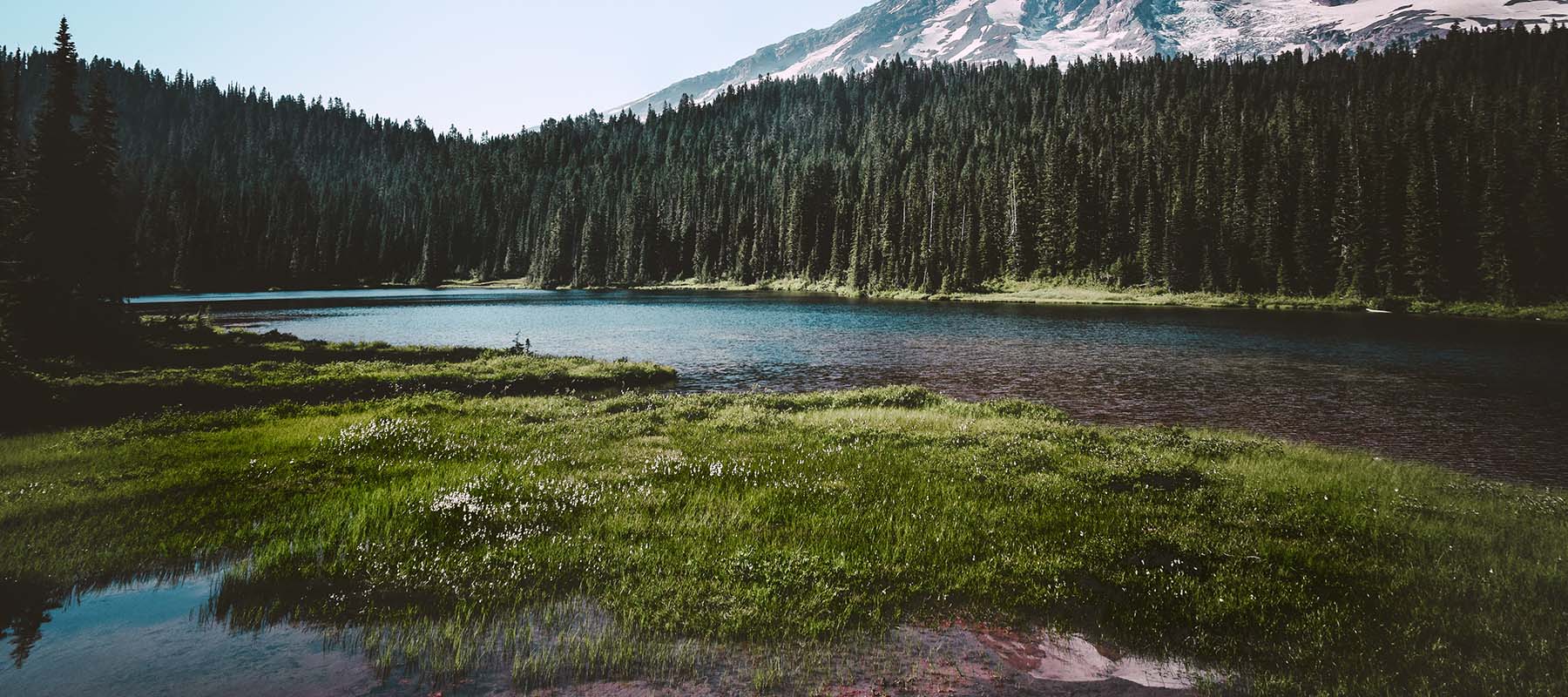 Rainier Lake