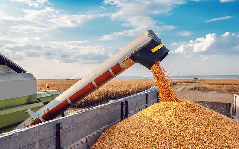 Grain farming machine